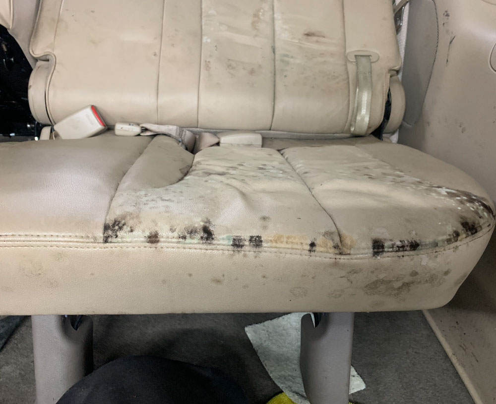 Car Interior Water Damage Repair