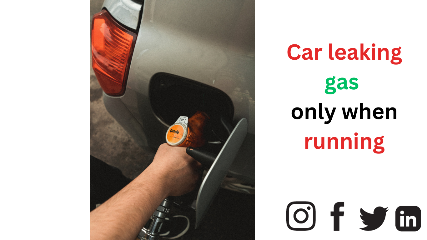 Car Leaking Gas Only When Running
