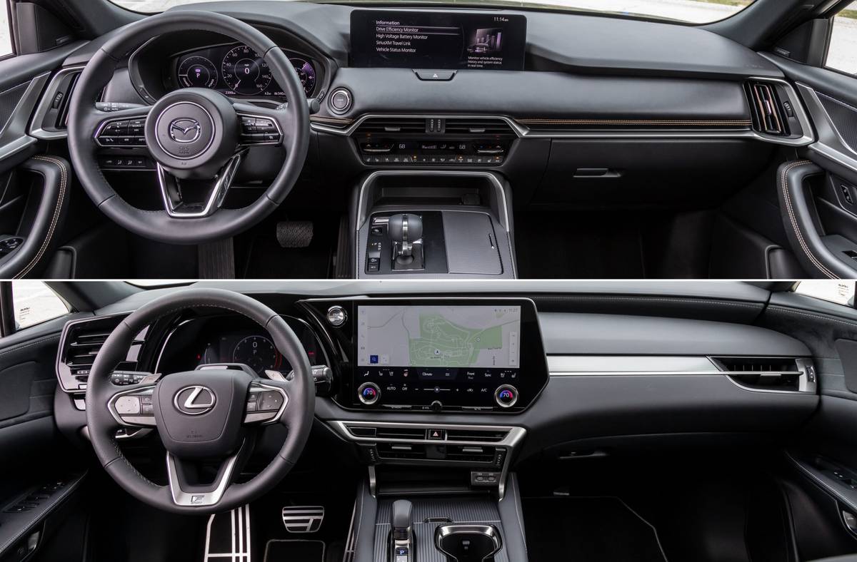 Luxury Vs Economy Cars