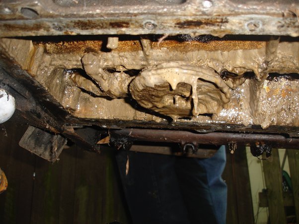 Will Water in Oil Damage Engine